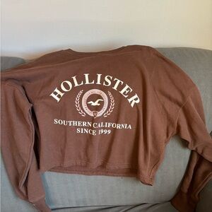 Hollister Chocolate Brown Crewneck